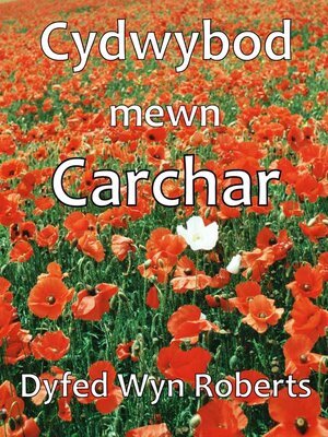 cover image of Cydwybod mewn Carchar